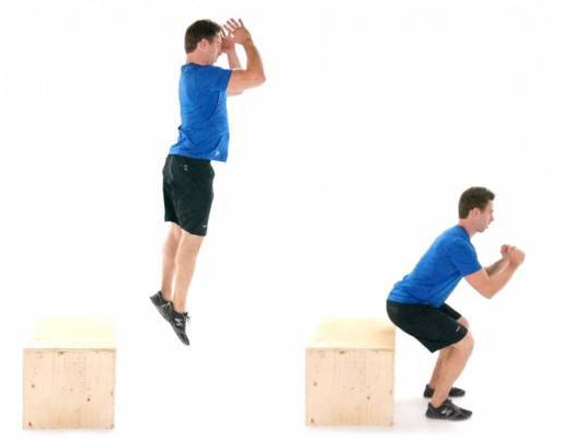 squat-depth-jump | The Sports Physio